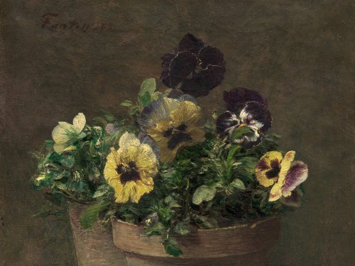Potted Pansies
