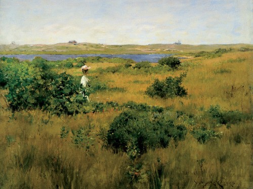 Summer at Shinnecock Hills