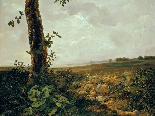 View near Presto