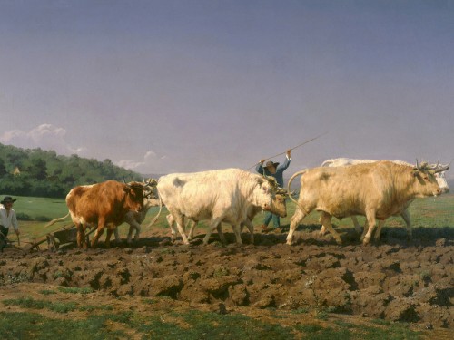 Ploughing in Nevers