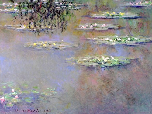Водяные лилии, 1903