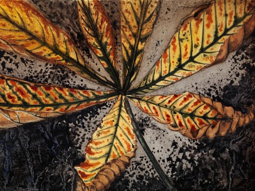 Chestnut leaf