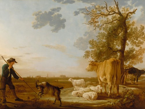 Landscape with cattle