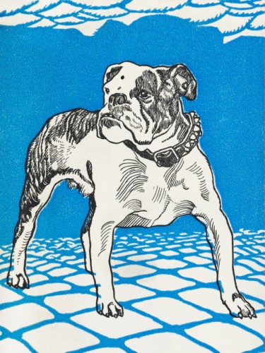 Bulldog