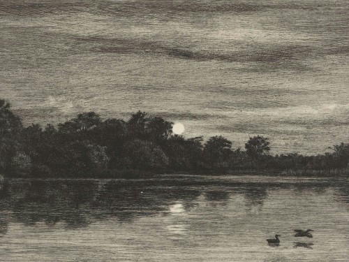 Waterplas bij maanlicht