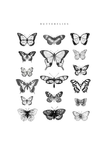 Butterflies