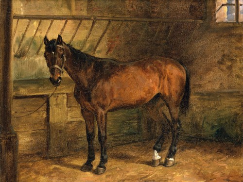 Horse in the stable