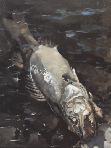 Rotting Fish, 1884