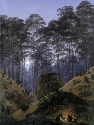 Forest by Moonlight