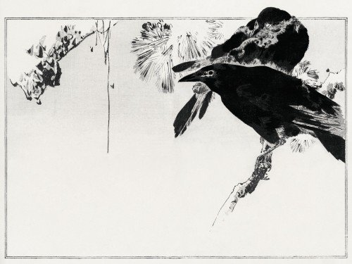 Japanese crows perched on a branch