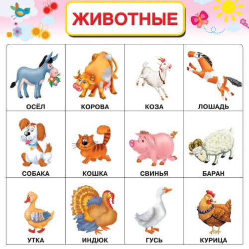 Животные