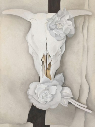 Cows Skull with Calico Roses