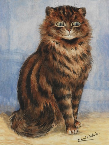 An Alert Tabby