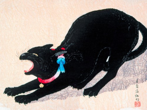 Black Cat Hissing