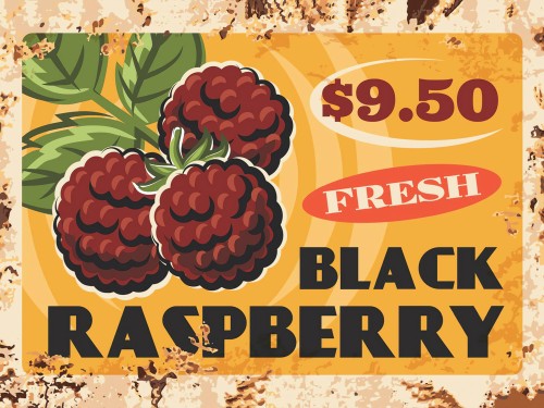 Black Raspberry