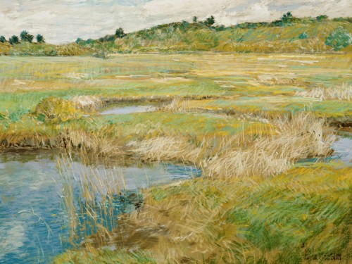 The Concord Meadow