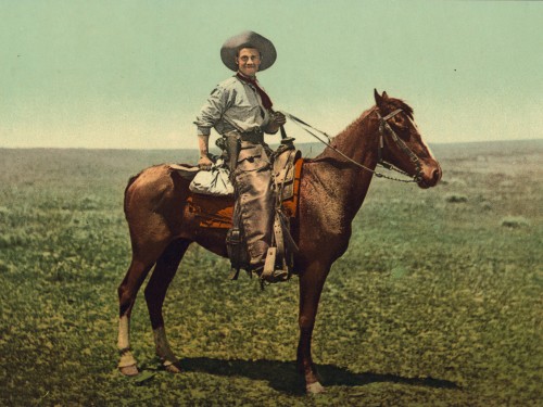 A cowboy