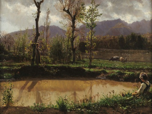 Terreno in pendio alberi