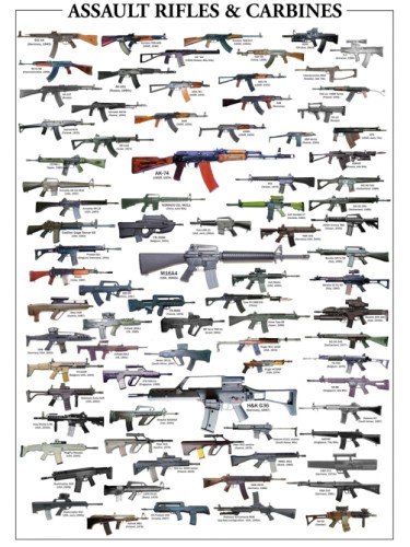 Assault Rifles & Carbines