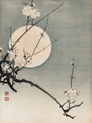 Plum and the moon