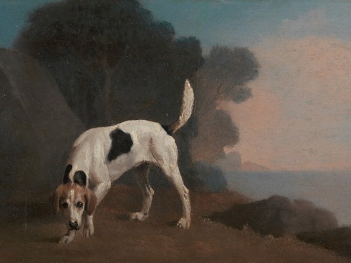 Foxhound