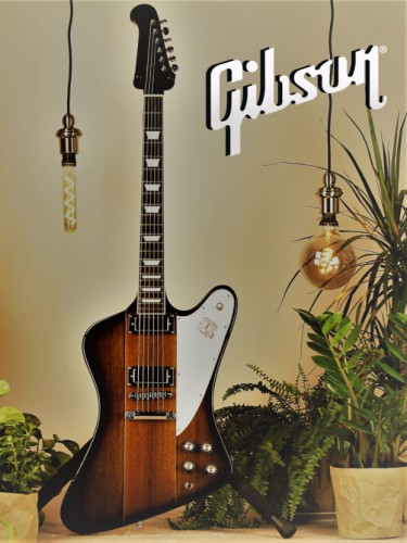 Gibson