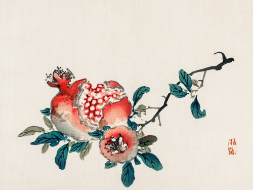 Pomegranate