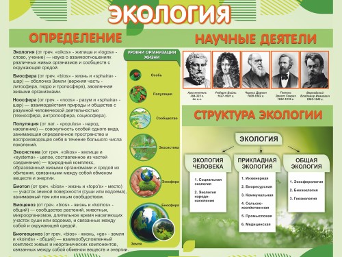Экология