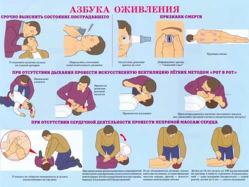 Азбука Оживления