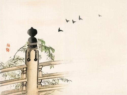 Fence