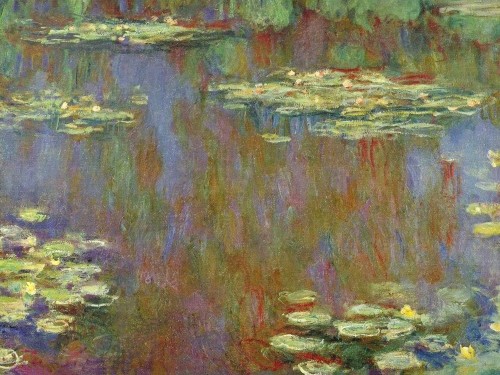 Водяные лилии, 1906