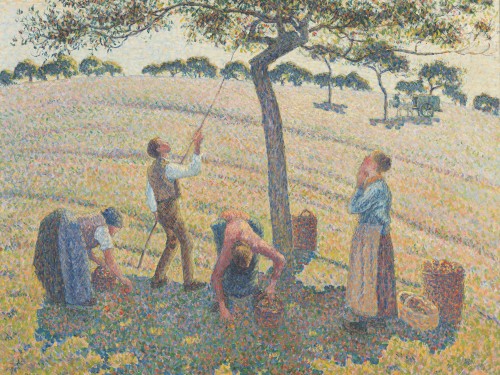 Apple Harvest