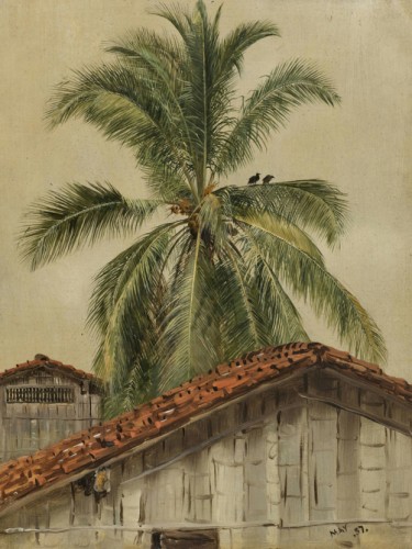 Palm Trees and Housetops