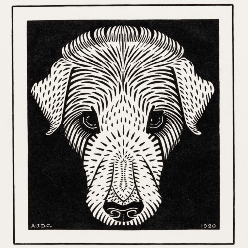 Dog's head