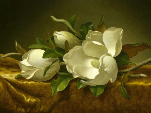 Magnolias on Gold Velvet Cloth