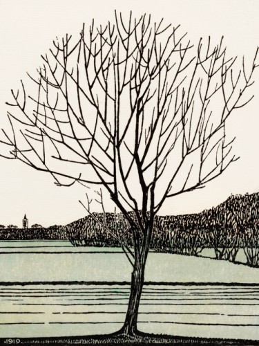 Bald tree