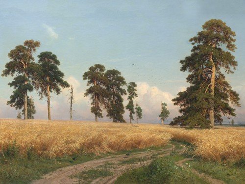 Рожь