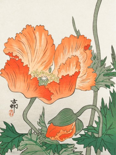 Birds and plants
