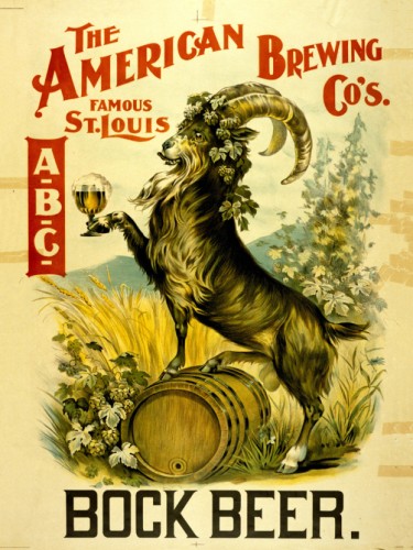 Bock Beer