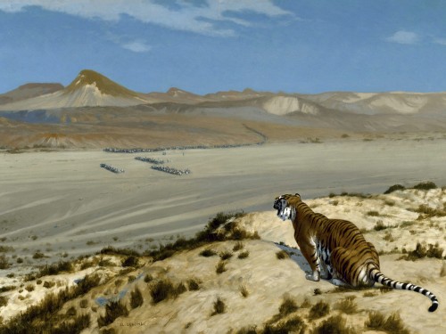 Tiger on the Watch