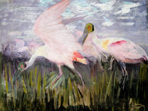 Roseate Spoonbills