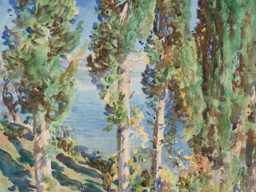 Corfu Cypresses