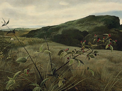 Blackberry Picker