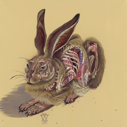 Nychos