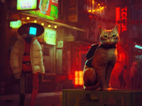 Stray