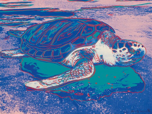 Turtle