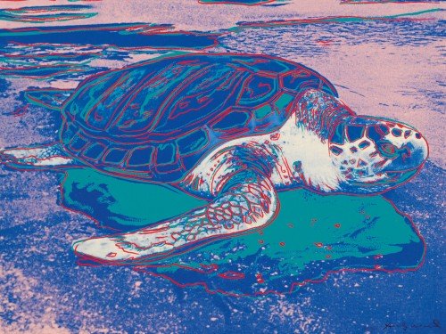 Turtle