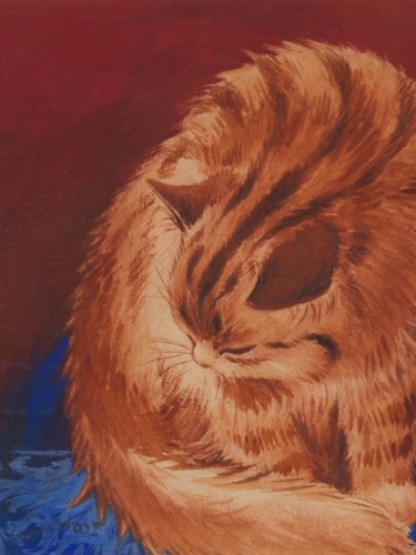 Tabby Cat Washing