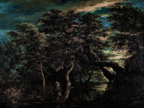 A Marsh in a Forest