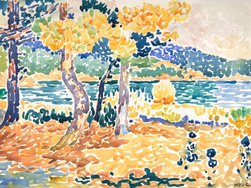 Pines on the Coastline